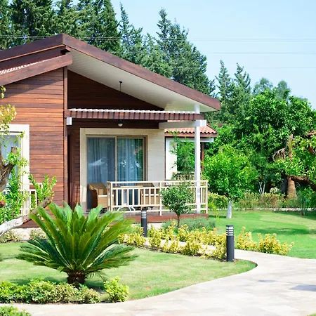 Kimera Lounge Boutique & Resort