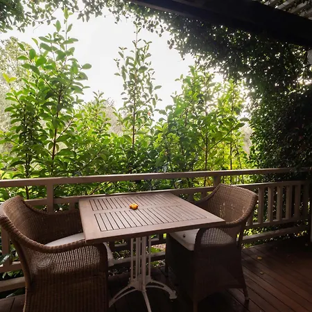 Kimera Lounge Boutique &