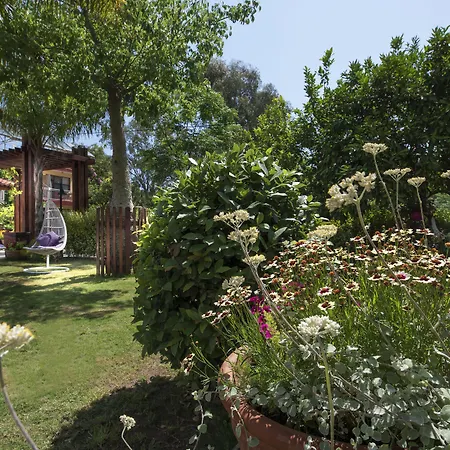 Kimera Lounge 2* Çıralı