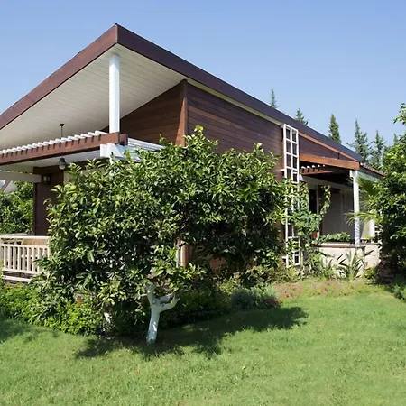 Station touristique Kimera Lounge Çıralı