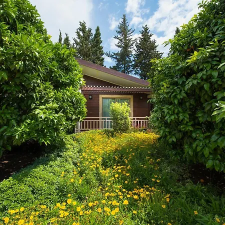 Kimera Lounge Boutique &