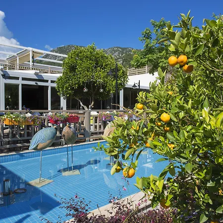 Resort Kimera Lounge Boutique & 2*