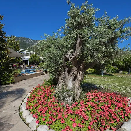 Kimera Lounge Boutique & 2*