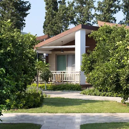Kimera Lounge Çıralı