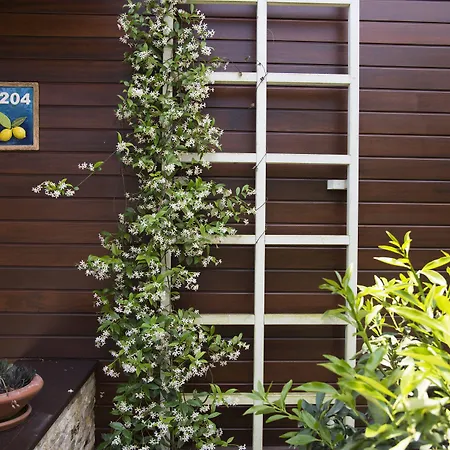 Kimera Lounge Boutique & 2* Çıralı