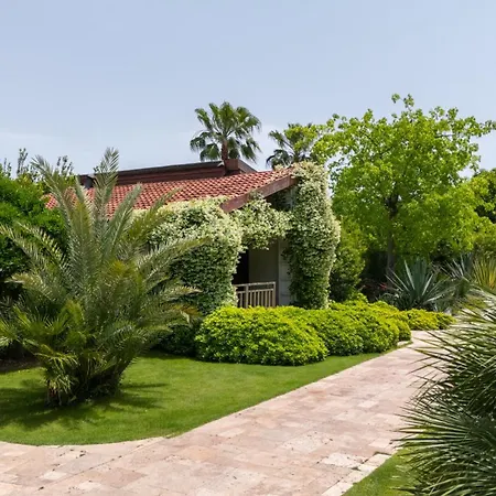 Kimera Lounge Çıralı